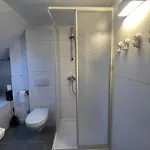 Apartmán Beishan In Zentrum Dachgeschoss *